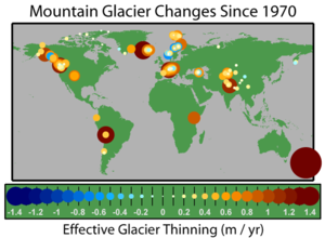 A map of the change in thickness of mountain glaciers since 1970. Thinning in orange and red, thickening in blue.