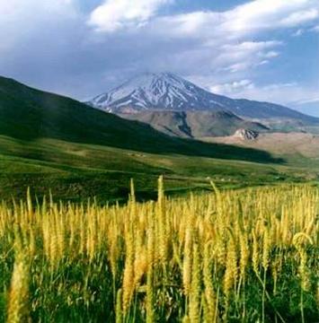 Image:Damavand3.jpg