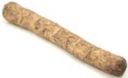 Root of the horseradish plant