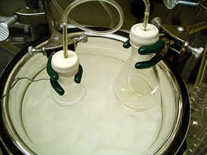 A typical experimental setup for an aldol reaction. A solution of lithium diisopropylamide (LDA) in tetrahydrofuran (THF) (in the flask on the right) is being added to a solution of tert-butyl propionate in the flask on the left, forming its lithium enolate. An aldehyde can then be added to initiate an aldol addition reaction. Both flasks are submerged in a dry ice/acetone cooling bath (-78 °C) the temperature of which is being monitored by a thermocouple (the wire on the left).