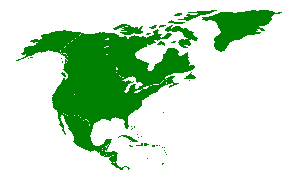 Image:North-America.png