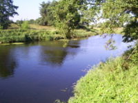 Polish Bofors 40 mm antiaircraft gun and a bombed Polish Army column during the Battle of the Bzura.