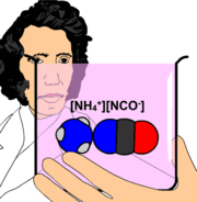 Wöhler observes the synthesis of urea.