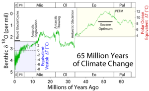 Expansion showing climate change during the last 65 million years. Note that the scales are not numerically the same since they are based on measurement different types of taxa under different conditions.
