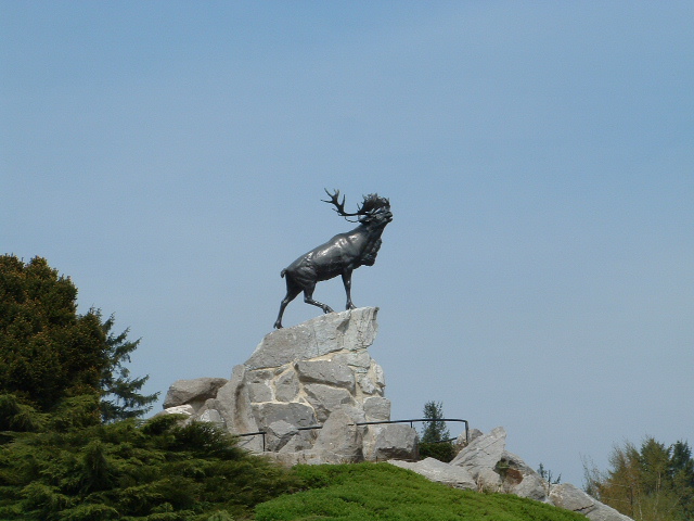 Image:Beaumont hamel newfoundland memorial.jpg