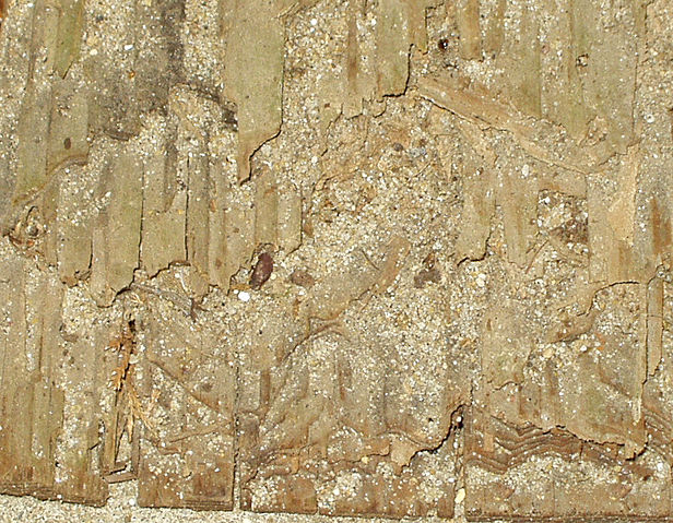 Image:Termite damaged wood.jpg