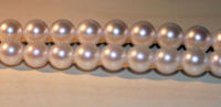 July 11: Mikimoto develops pearls.