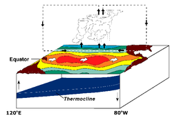 El Niño Conditions.  Warm water pool approaches South American coast. Absence of cold upwelling increases warming.