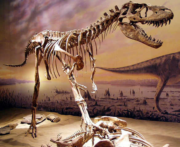Image:Drumheller 150.jpg