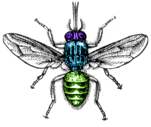 Image:Tsetse fly.png