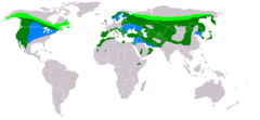 Light green = Breeding only Blue = Wintering only Dark green = All-year