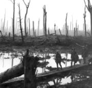 Chateau Wood, Ypres, 1917
