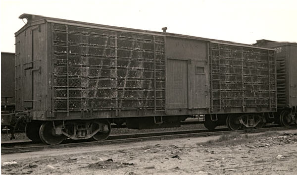 Image:Live Poultry Car.jpg