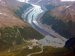 Valdez Glacier has thinned 90 m (300 ft) over the last century and the barren ground near the glacial margins have been exposed due to the glacier thinning and retreating over the last two decades of the 20th century.(Pelto5)