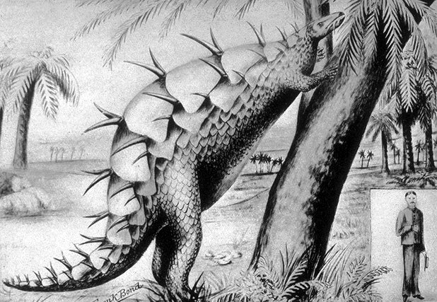 Image:Stegosaur.jpg