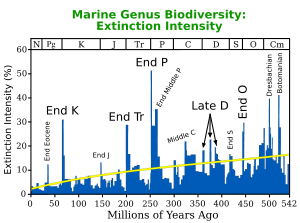 The Permian&ndash;Triassic extinction event, labeled "End P" here, is the most significant extinction event in this plot for marine genera which produce large numbers of fossils.