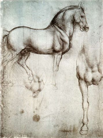 Image:Study of horse.jpg