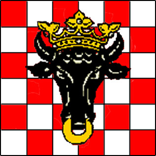 Image:Flaga Kalisz.jpg