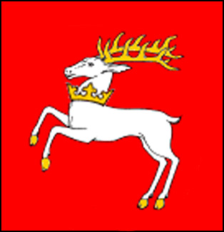 Image:Flaga Lublin.jpg