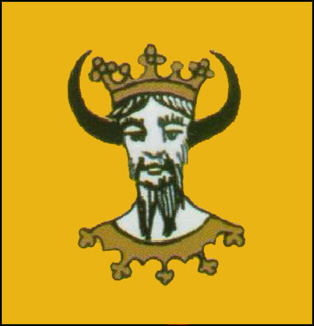 Image:Flaga Dobrzyn1.jpg