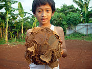 A boy from Jakarta with his ball. Ball games tend to be good exercise, involving lots of physical activity and are popular worldwide.