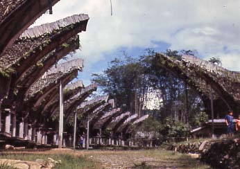 Image:Tana Toraja.jpg