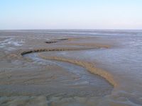 Mudflats in Germany