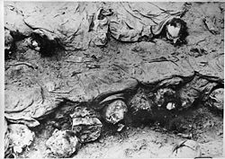 Katyn 1943 exhumation. Photo made by Polish Red Cross delegation.