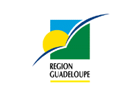 Image:GuadFlag.png