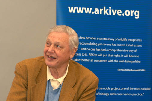 Image:David Attenborough.jpg