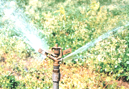 Image:Sprinkler.gif
