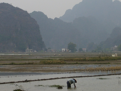 Image:Tam Coc - Ninh Binh.JPG