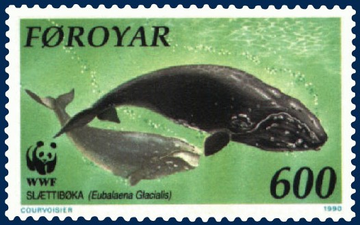Image:Faroe stamp 199 Eubalaena glacialis.jpg