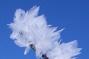 Feather ice on the plateau near Alta, Norway. The crystals form at temperatures below &minus;30 &deg;C (i.e. &minus;22 &deg;F).