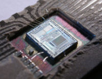 Intel 8742 eight-bit microcontroller IC.