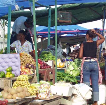 Image:Bourda-market.jpg
