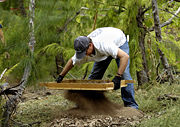 An archaeologist sifting for POW remains on Wake Island.