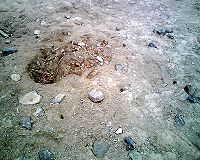A looter's pit on the morning following its excavation, taken at Rontoy, Huaura Valley, Peru in June 2007. Several small holes left by looters' prospecting probes can be seen, as well as their footprints.