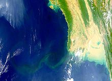 The Irrawaddy Delta, which is approximately 50,400 km² (19,500 sq mi) in area, is largely used for rice cultivation.