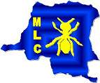 Image:MLC.jpg