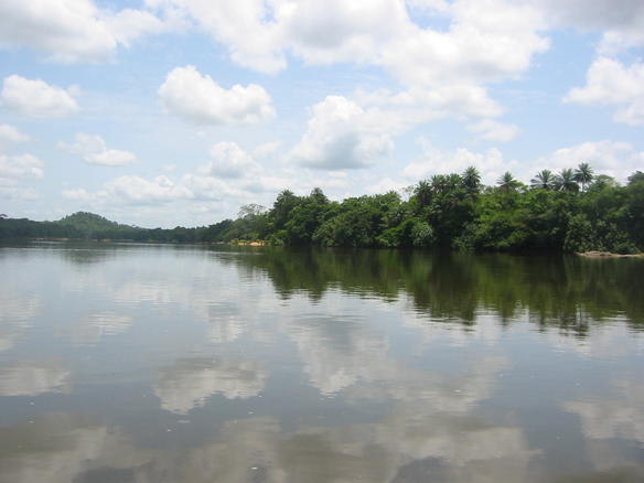 Image:Tiwai Island River.jpg