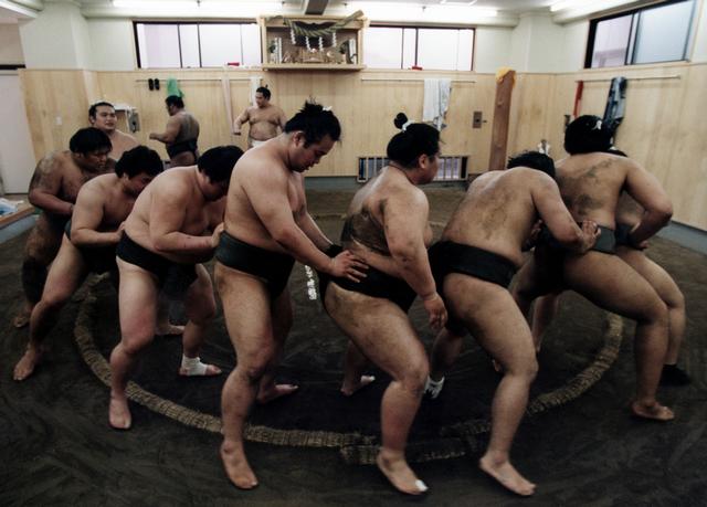 Image:Sumoworkout.JPG