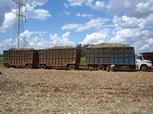 Sugarcane mechanical harvest in Jaboticabal, S&atilde;o Paulo state, Brazil.