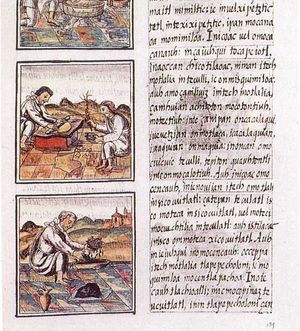 Page 51 of Book IX from the Florentine Codex. The text is in Nahuatl written with a Latin script.