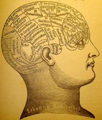 A phrenological mapping of the brain. Phrenology was among the first attempts to correlate mental functions with specific parts of the brain.