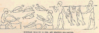 Image:Egyptian fishery3.jpg
