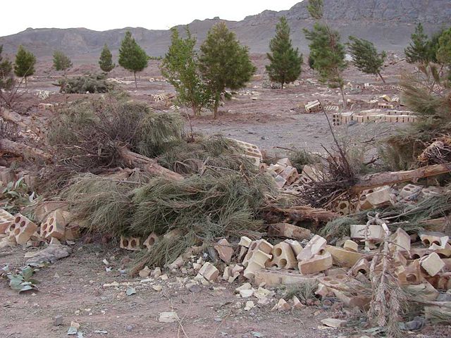 Image:Cemetery of yazd.jpg