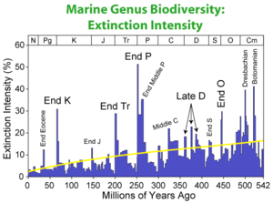 Extinction intensity during the Phanerozoic. As changes in biodiversity reflect both changes in origination and extinction, some events shown here are masked in the biodiversity curve by very rapid replacement with new species.
