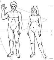 Humans depicted on the Pioneer plaque