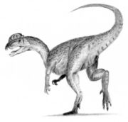 Dilophosaurus, one of the many extinct dinosaur genera. The cause of the Cretaceous&ndash;Tertiary extinction event is a subject of much debate amongst researchers.